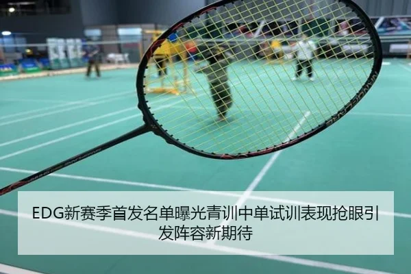 EDG新赛季首发名单曝光青训中单试训表现抢眼引发阵容新期待