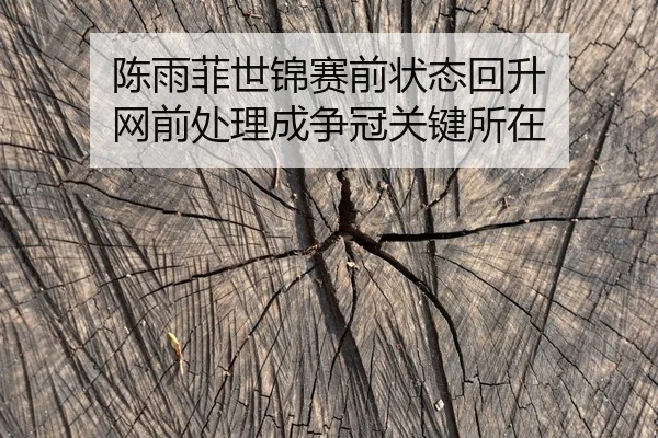 陈雨菲世锦赛前状态回升 网前处理成争冠关键所在