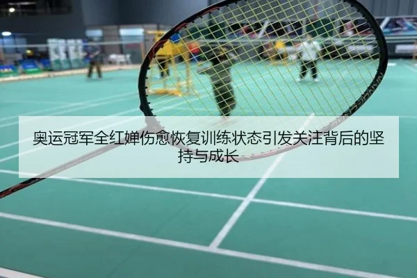 奥运冠军全红婵伤愈恢复训练状态引发关注背后的坚持与成长